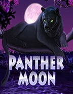 ทดลองเล่นสล็อตทุกค่ายฟรีซื้อฟรีสปิน: สนุกได้ทุกที่ทุกเวลา